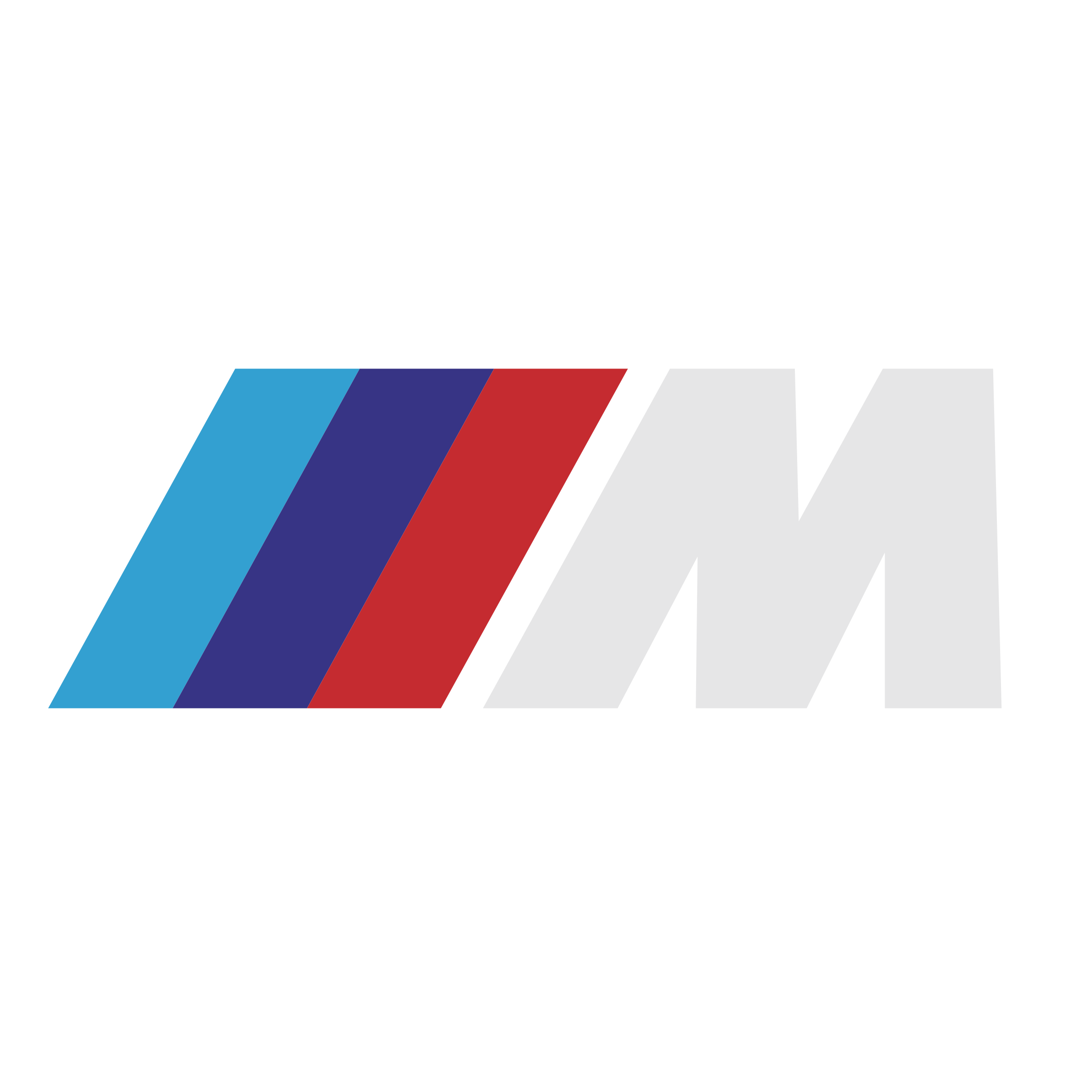 BMW M Logo